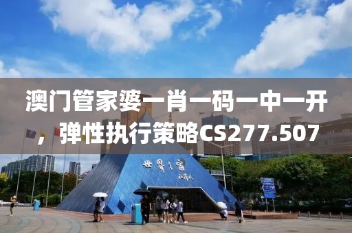 澳门管家婆一肖一码一中一开，弹性执行策略CS277.507