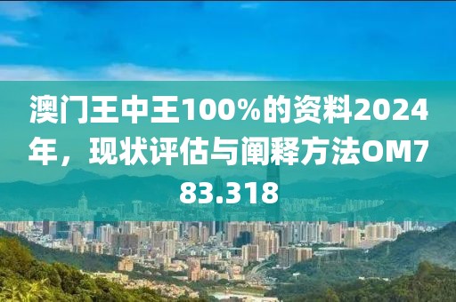 澳门王中王100%的资料2024年，现状评估与阐释方法OM783.318