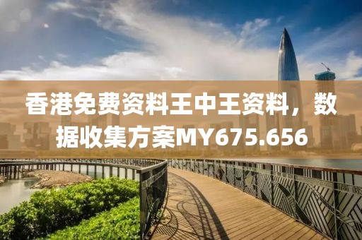 香港免费资料王中王资料，数据收集方案MY675.656