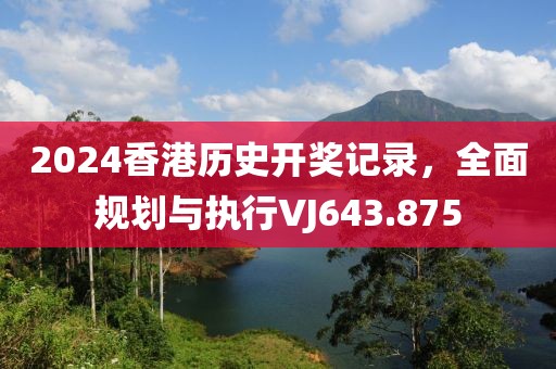 2024香港历史开奖记录，全面规划与执行VJ643.875