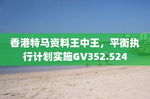 香港特马资料王中王，平衡执行计划实施GV352.524