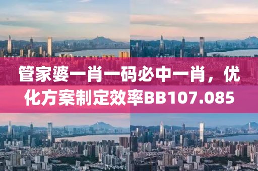 管家婆一肖一码必中一肖，优化方案制定效率BB107.085