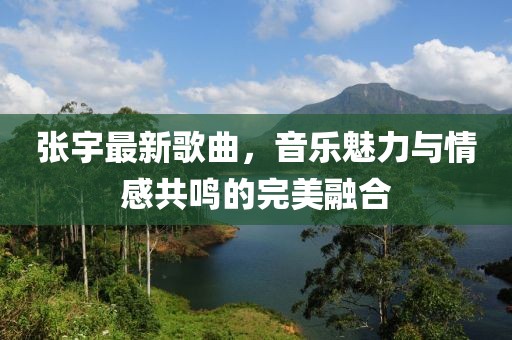 张宇最新歌曲，音乐魅力与情感共鸣的完美融合