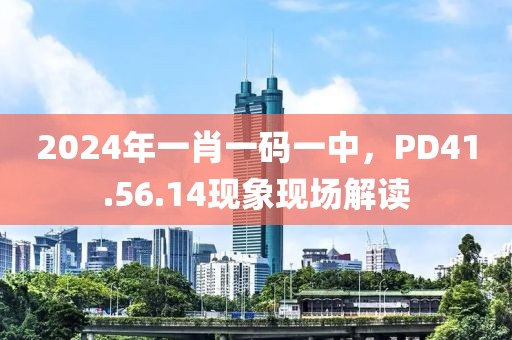 2024年一肖一码一中，PD41.56.14现象现场解读