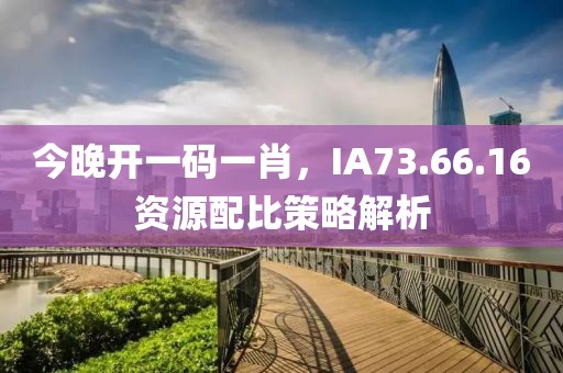 今晚开一码一肖，IA73.66.16资源配比策略解析