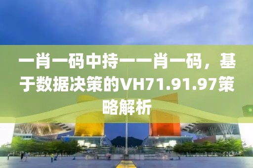 一肖一码中持一一肖一码，基于数据决策的VH71.91.97策略解析
