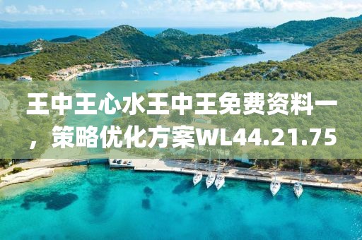 王中王心水王中王免费资料一，策略优化方案WL44.21.75