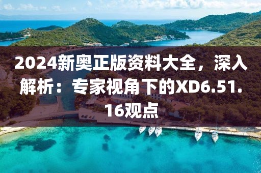2024新奥正版资料大全，深入解析：专家视角下的XD6.51.16观点