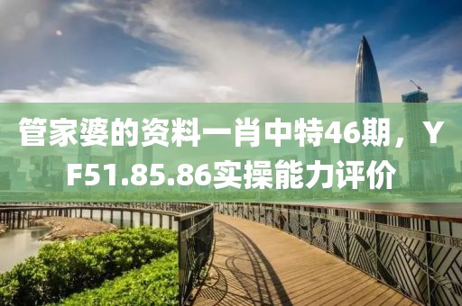 管家婆的资料一肖中特46期，YF51.85.86实操能力评价