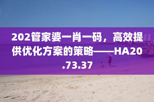 202管家婆一肖一码，高效提供优化方案的策略——HA20.73.37