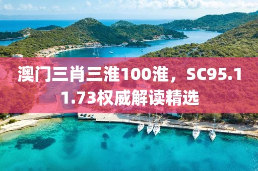 澳门三肖三淮100淮，SC95.11.73权威解读精选