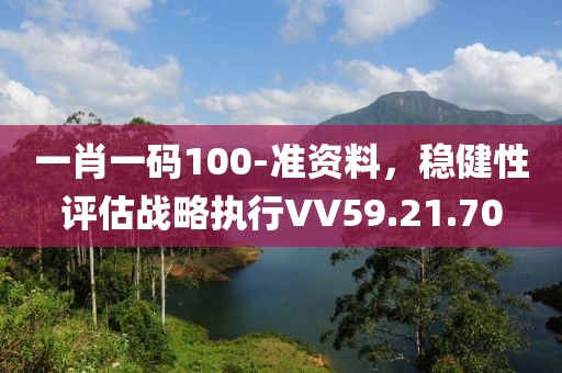 一肖一码100-准资料，稳健性评估战略执行VV59.21.70