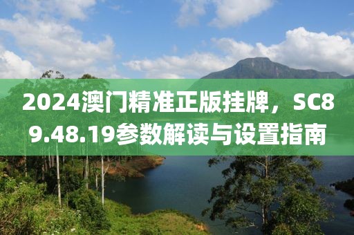 2024澳门精准正版挂牌，SC89.48.19参数解读与设置指南
