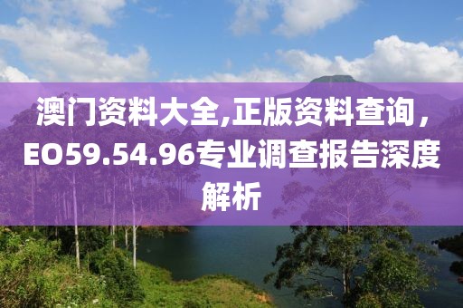 澳门资料大全,正版资料查询，EO59.54.96专业调查报告深度解析