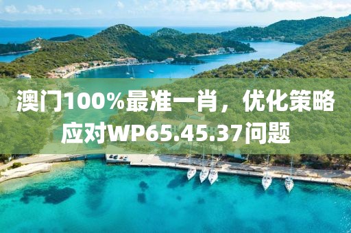 澳门100%最准一肖，优化策略应对WP65.45.37问题