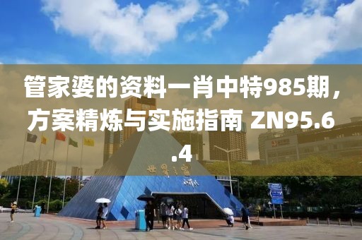 管家婆的资料一肖中特985期，方案精炼与实施指南 ZN95.6.4