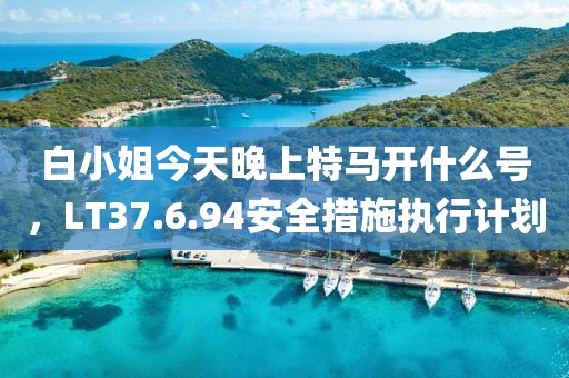 白小姐今天晚上特马开什么号，LT37.6.94安全措施执行计划