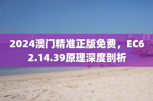 2024澳门精准正版免费，EC62.14.39原理深度剖析
