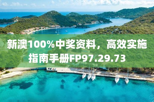 新澳100%中奖资料，高效实施指南手册FP97.29.73