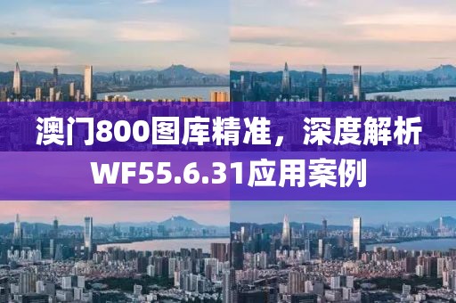 澳门800图库精准，深度解析WF55.6.31应用案例