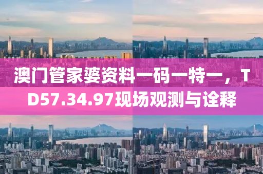 澳门管家婆资料一码一特一，TD57.34.97现场观测与诠释