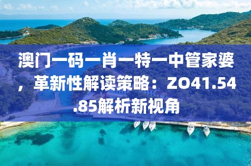 澳门一码一肖一特一中管家婆，革新性解读策略：ZO41.54.85解析新视角