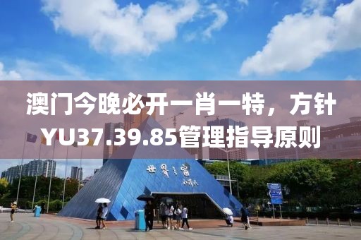 澳门今晚必开一肖一特，方针YU37.39.85管理指导原则