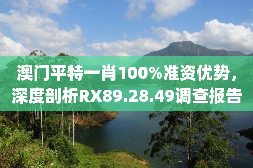 澳门平特一肖100%准资优势，深度剖析RX89.28.49调查报告