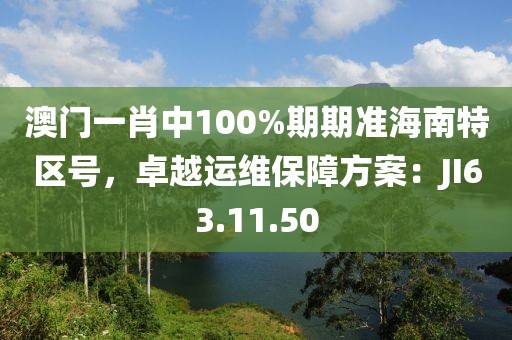 澳门一肖中100%期期准海南特区号，卓越运维保障方案：JI63.11.50