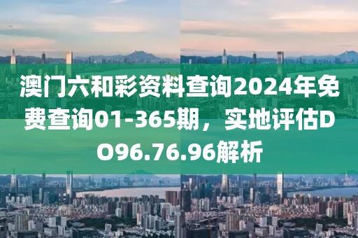 澳门六和彩资料查询2024年免费查询01-365期，实地评估DO96.76.96解析