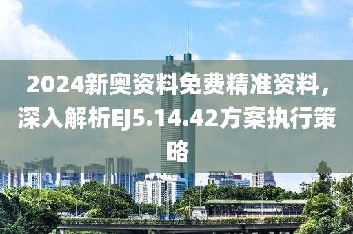 2024新奥资料免费精准资料，深入解析EJ5.14.42方案执行策略