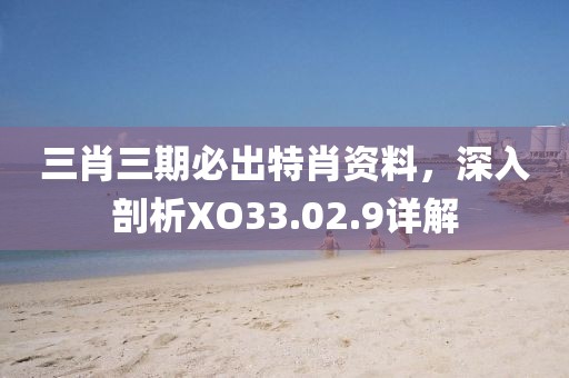 三肖三期必出特肖资料，深入剖析XO33.02.9详解