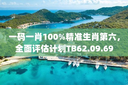 一码一肖100%精准生肖第六，全面评估计划TB62.09.69