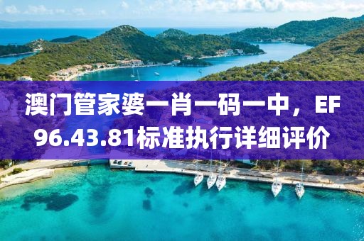 澳门管家婆一肖一码一中，EF96.43.81标准执行详细评价
