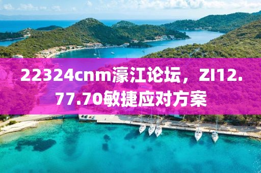 22324cnm濠江论坛，ZI12.77.70敏捷应对方案