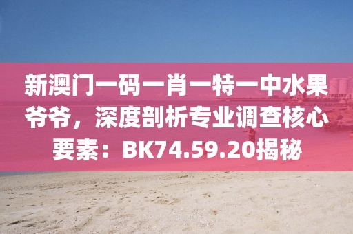 新澳门一码一肖一特一中水果爷爷，深度剖析专业调查核心要素：BK74.59.20揭秘