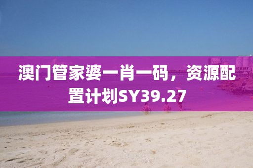 澳门管家婆一肖一码，资源配置计划SY39.27