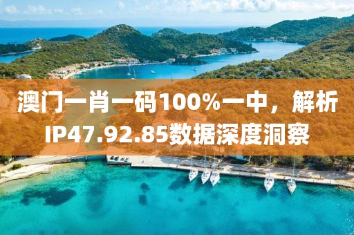 澳门一肖一码100%一中，解析IP47.92.85数据深度洞察