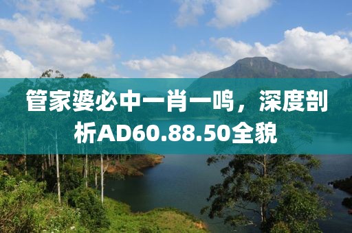 管家婆必中一肖一鸣，深度剖析AD60.88.50全貌