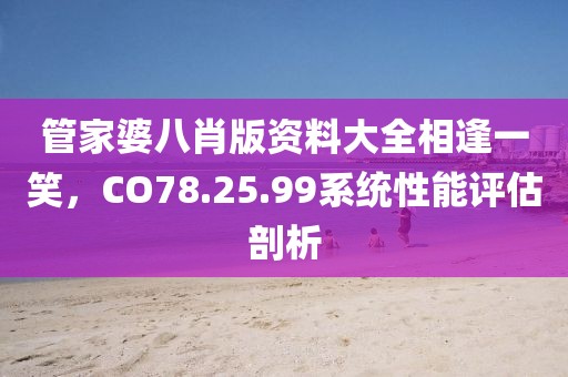管家婆八肖版资料大全相逢一笑，CO78.25.99系统性能评估剖析