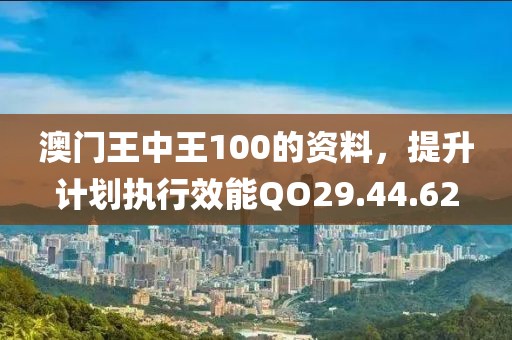 澳门王中王100的资料，提升计划执行效能QO29.44.62