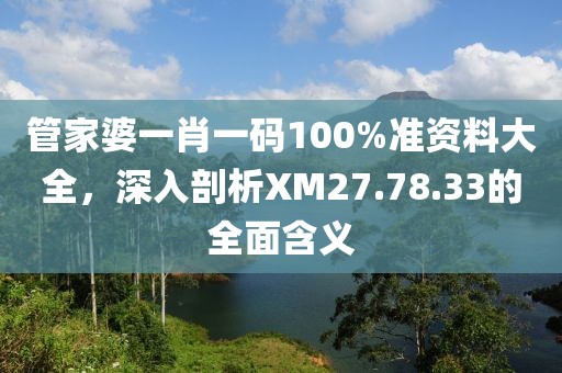 管家婆一肖一码100%准资料大全，深入剖析XM27.78.33的全面含义