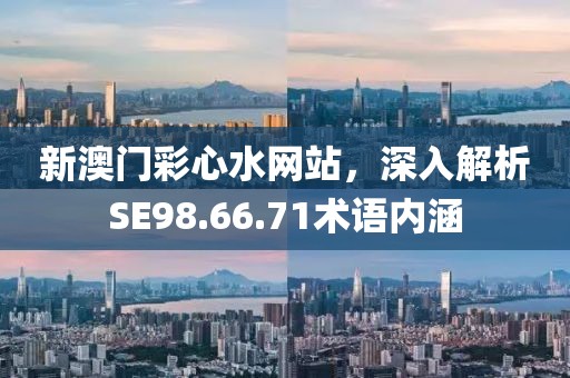 新澳门彩心水网站，深入解析SE98.66.71术语内涵