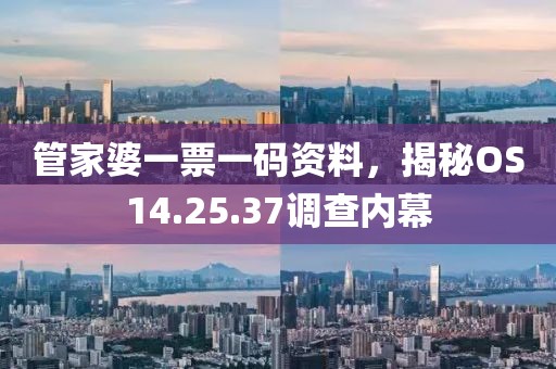 管家婆一票一码资料，揭秘OS14.25.37调查内幕