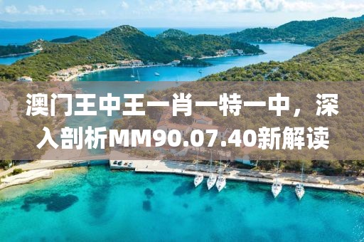 澳门王中王一肖一特一中，深入剖析MM90.07.40新解读