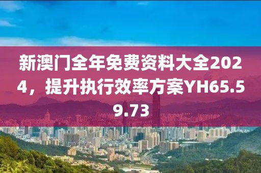 新澳门全年免费资料大全2024，提升执行效率方案YH65.59.73