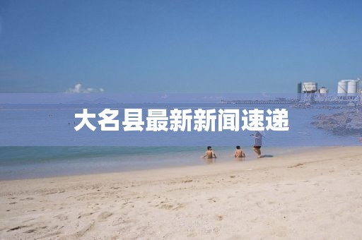 大名县最新新闻速递