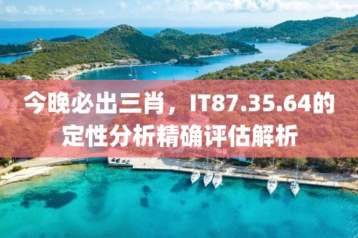 今晚必出三肖，IT87.35.64的定性分析精确评估解析