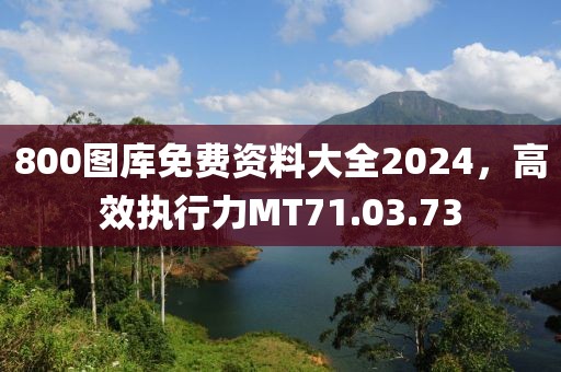 800图库免费资料大全2024，高效执行力MT71.03.73