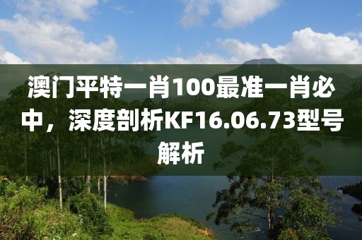 澳门平特一肖100最准一肖必中，深度剖析KF16.06.73型号解析